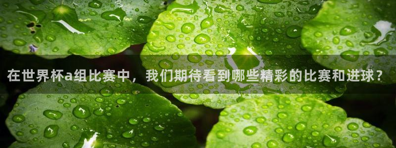 2026世界杯官网：在世界杯a组比赛中，我们期待看到哪些精彩的比赛和进球？