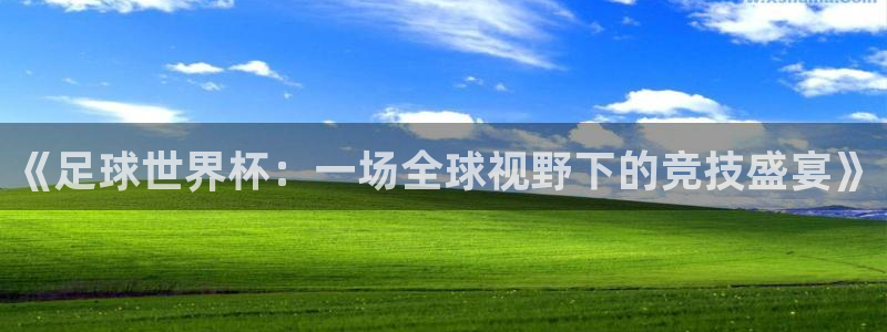 足球世界杯预选赛：《足球世界杯：一场全球视野下的竞技盛宴》