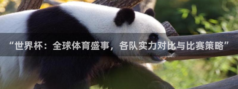 足球世界杯时间：“世界杯：全球体育盛事，各队实力对比与比赛策略”