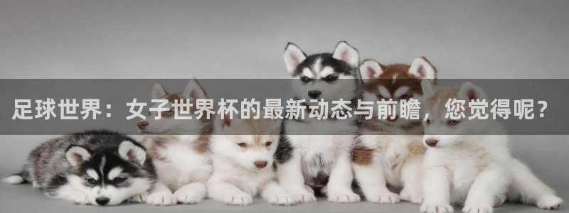 亚洲杯足球：足球世界：女子世界杯的最新动态与前瞻，您觉得呢？