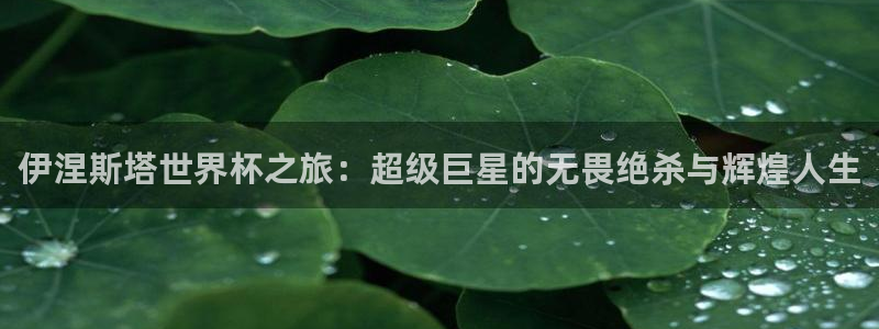2026世预赛全部赛程：伊涅斯塔世界杯之旅：超级巨星的无畏绝杀与辉煌人生