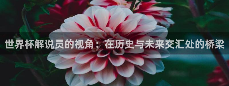 世界杯球队排名：世界杯解说员的视角：在历史与未来交汇处的桥梁