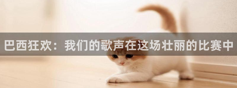 2026男足世界杯：巴西狂欢：我们的歌声在这场壮丽的比赛中