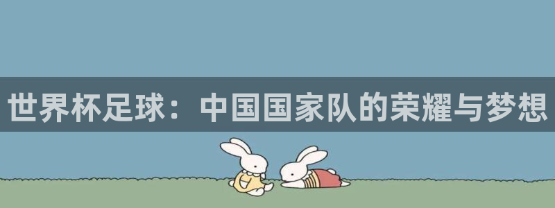26世界杯：世界杯足球：中国国家队的荣耀与梦想