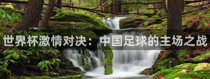 2026世界杯倒计时：世界杯激情对决：中国足球的主场之战