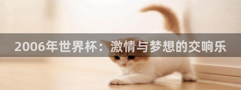 世界杯球队：2006年世界杯：激情与梦想的交响乐