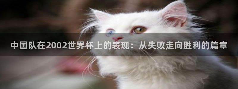 2026世界杯直播：中国队在2002世界杯上的表现：从失败走向胜利的篇章