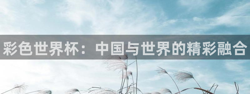 世界杯预选赛排名：彩色世界杯：中国与世界的精彩融合